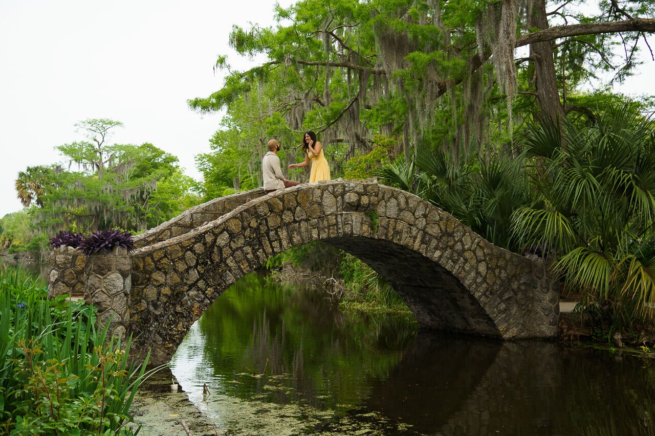 New Orleans proposal spot banner image