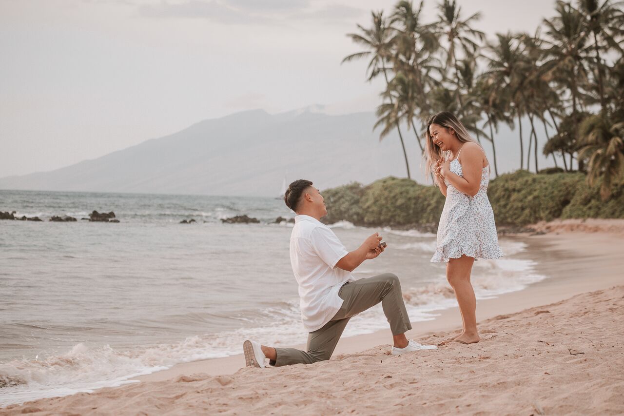 Maui proposal spot banner image