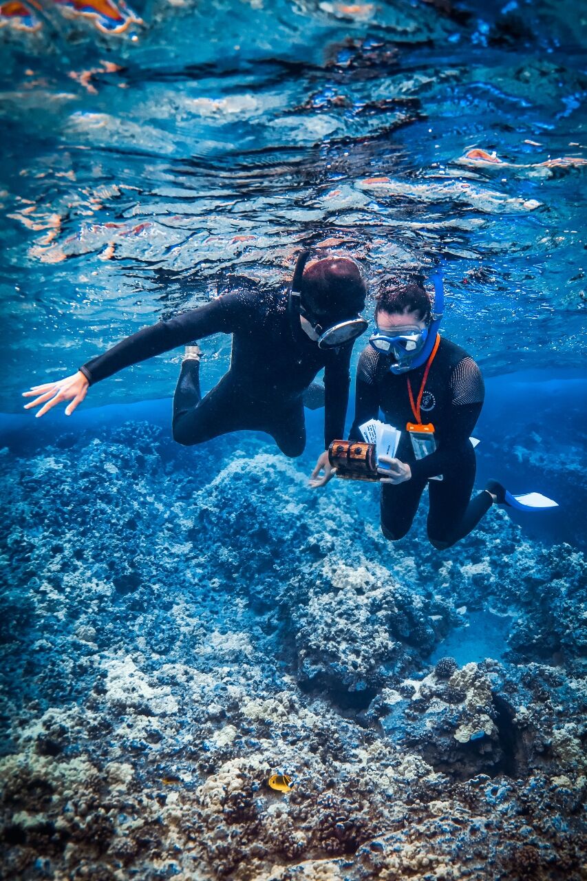 featured photo spot in Maui for proposals photo shoots gallery