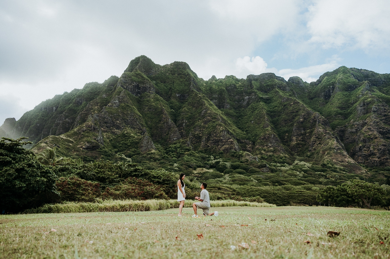 Oahu proposal spopt second banner image