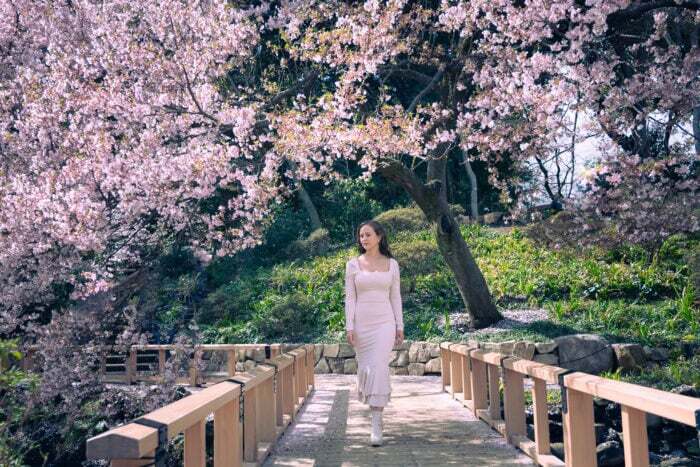 local-lens-japan-tokyo-solo-travel