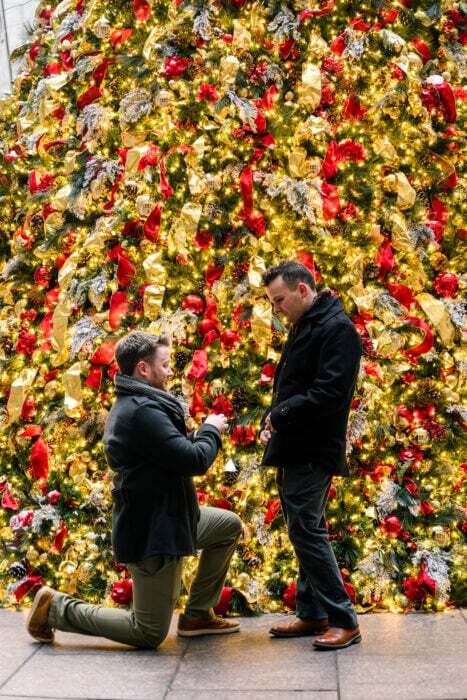 local-lens-new-york-lgbt-proposal
