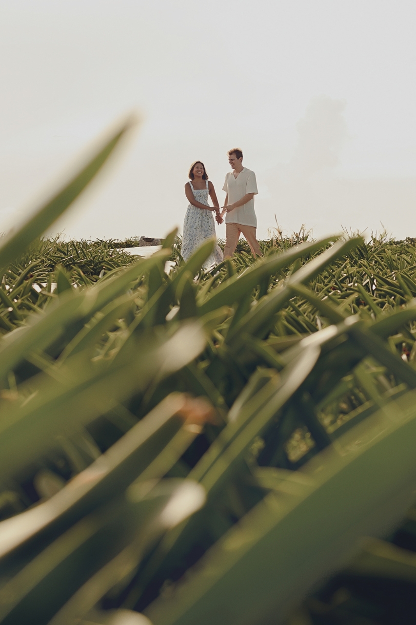 featured photo spot in Cancun for proposals photo shoots gallery
