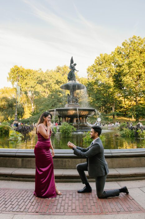 city-proposal-local-lens-new york city-central park