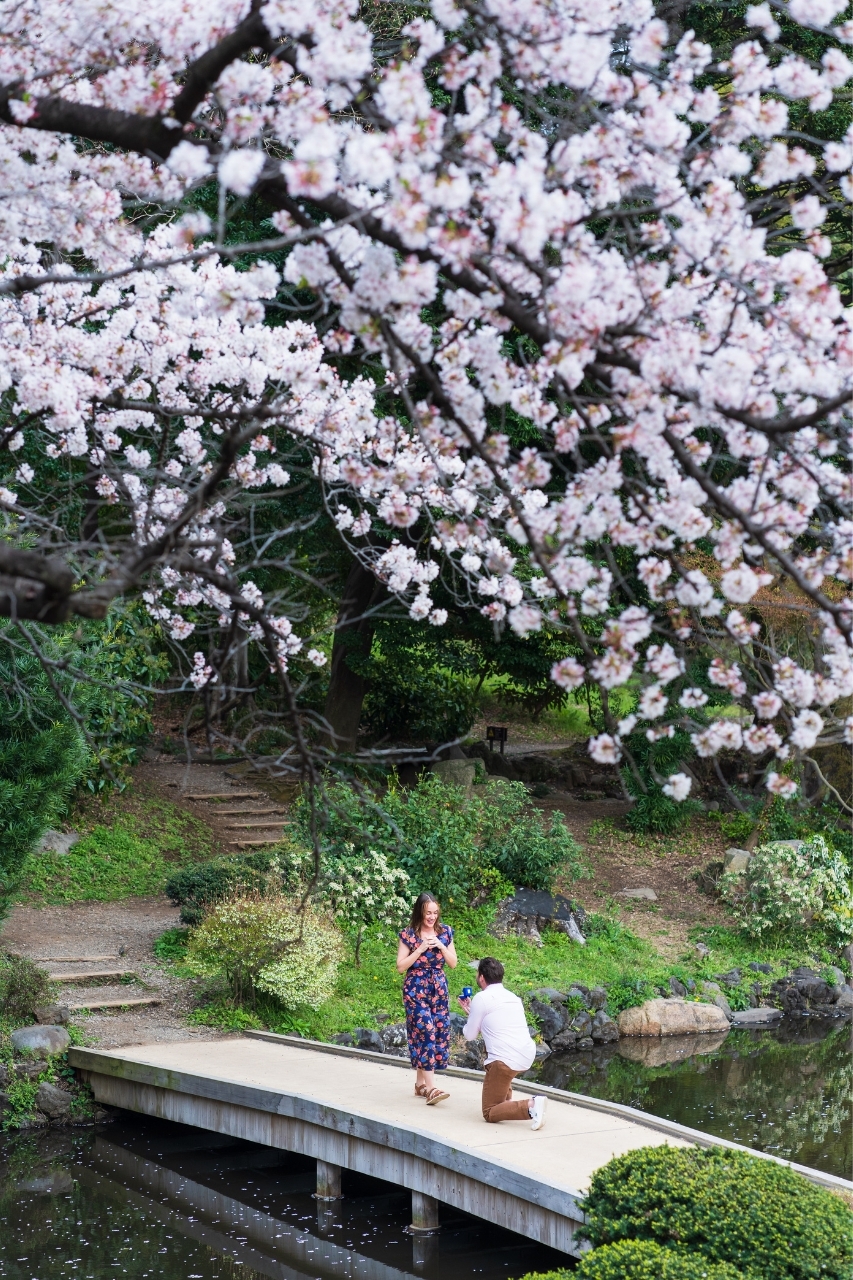 featured photo spot in Tokyo for proposals photo shoots gallery