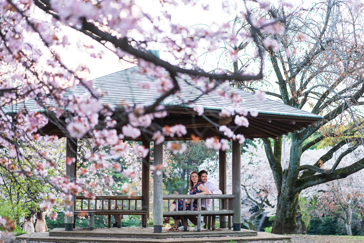 featured photo spot in Tokyo for proposals photo shoots