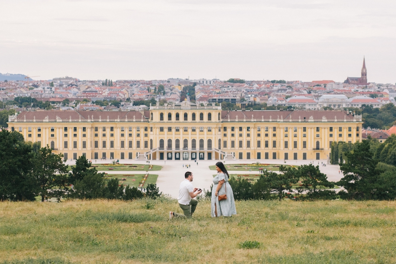 vienna-proposal-local-lens