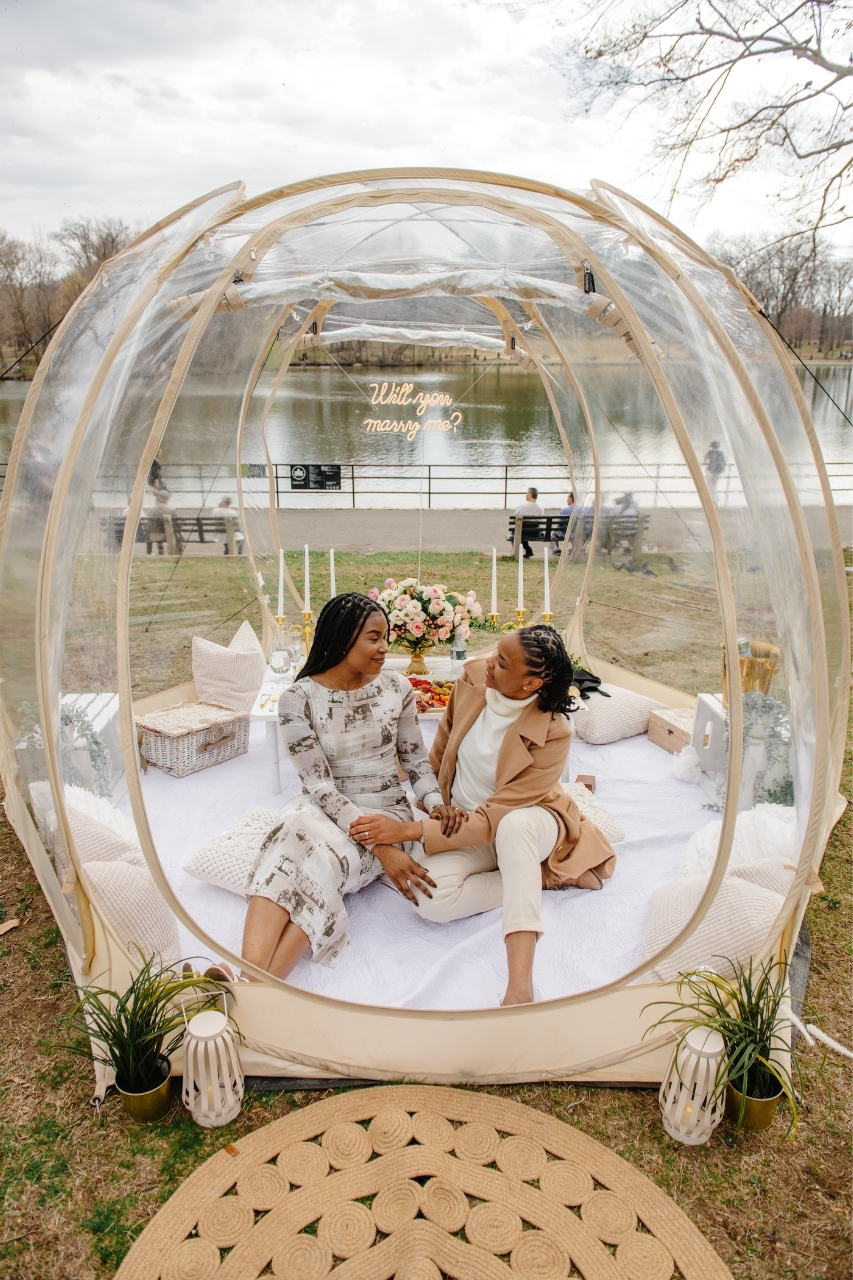 hire a proposal photograhper in New York City