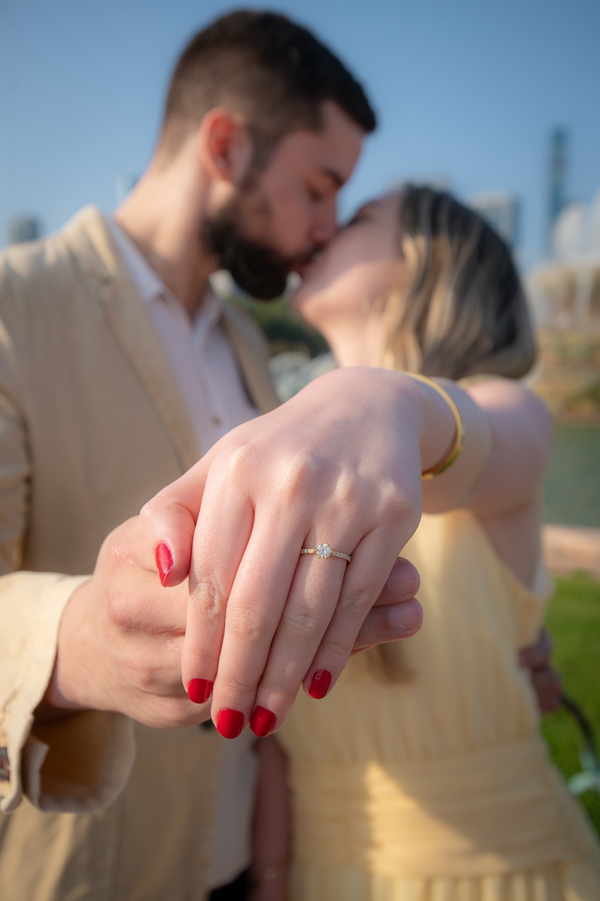 featured photo spot in Chicago for proposals photo shoots gallery