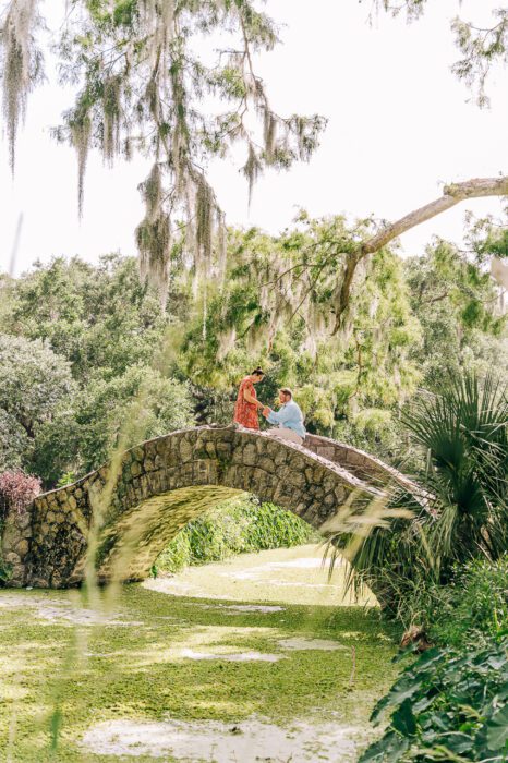 new-orleans-proposal-local-lens-city-park