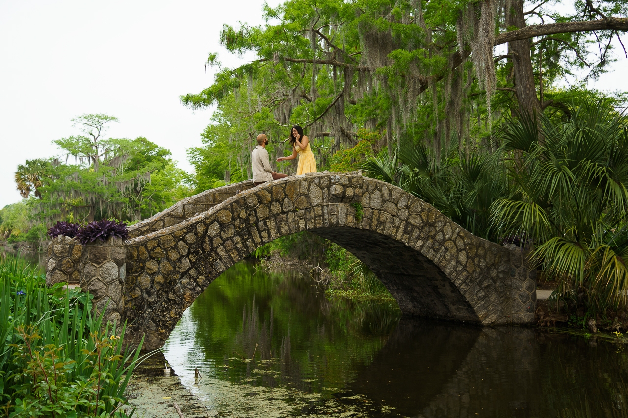 new-orleans-proposal-local-lens-city-park
