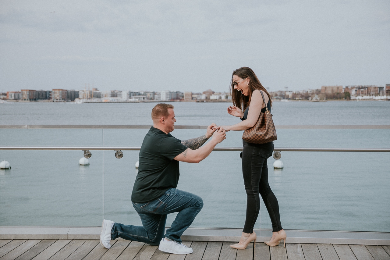 boston-proposal-local-lens-fan-pier-park
