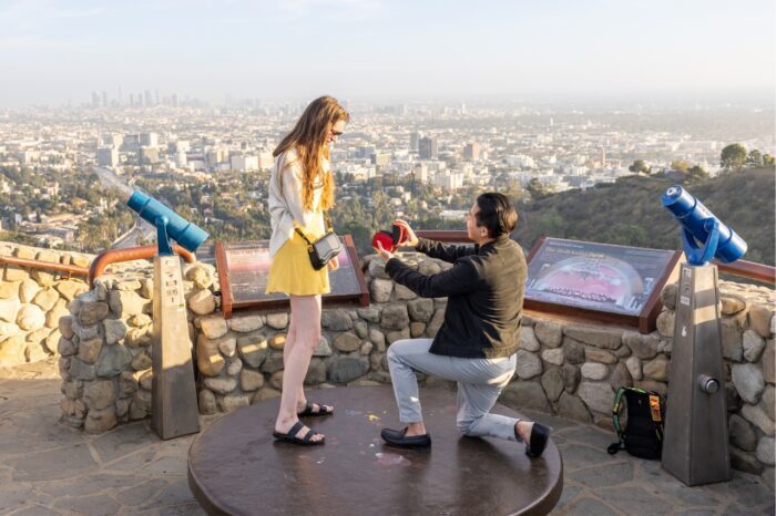 los-angeles-proposal-local-lens-jerome-c-daniel-overlook