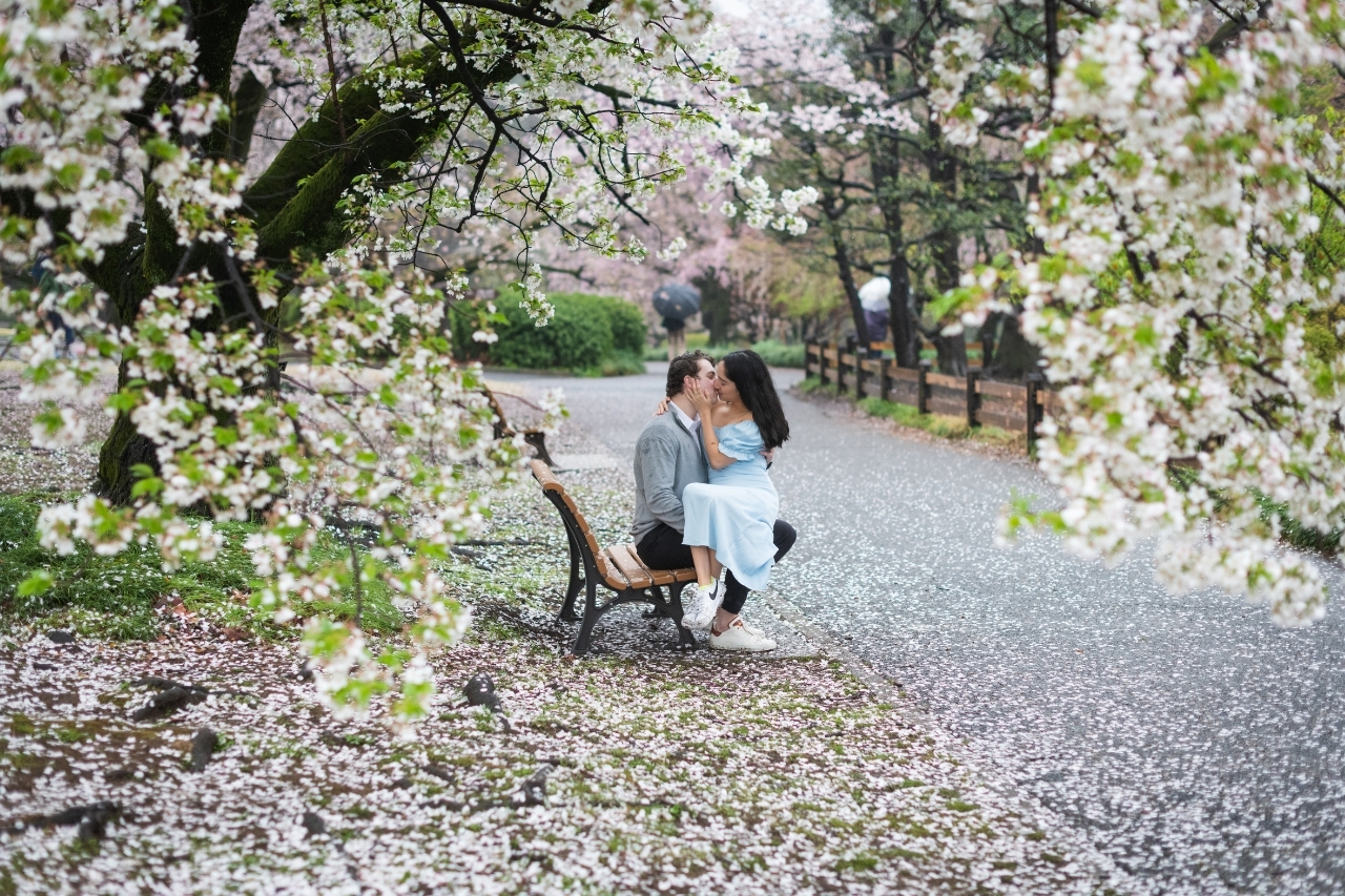 tokyo-proposal-local-lens