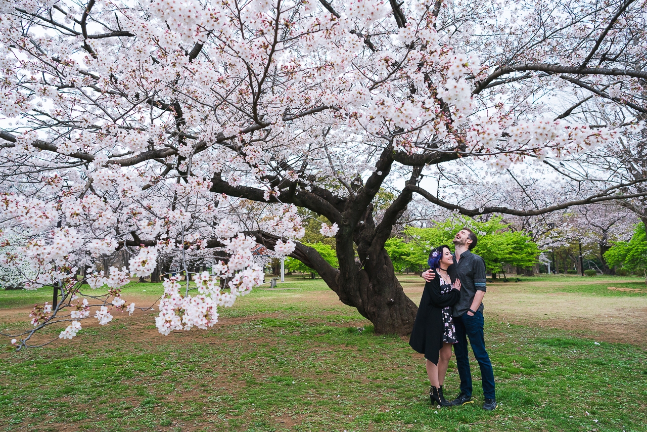 featured photo spot in Tokyo for proposals photo shoots gallery