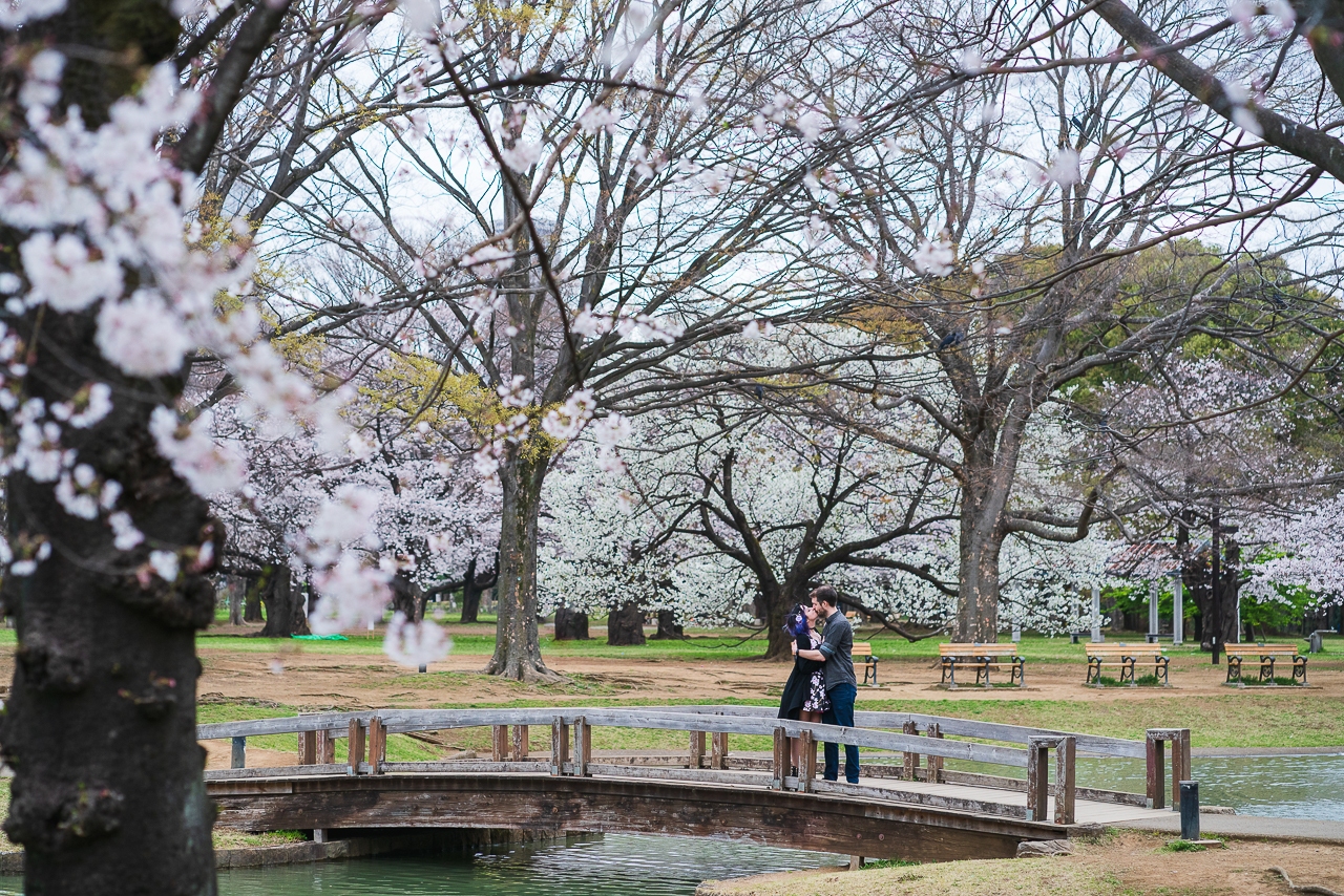 featured photo spot in Tokyo for proposals photo shoots gallery