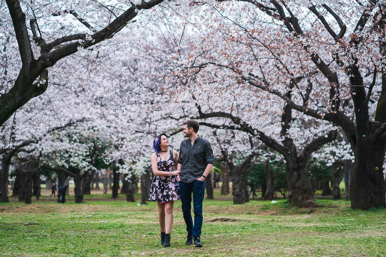 featured photo spot in Tokyo for proposals photo shoots