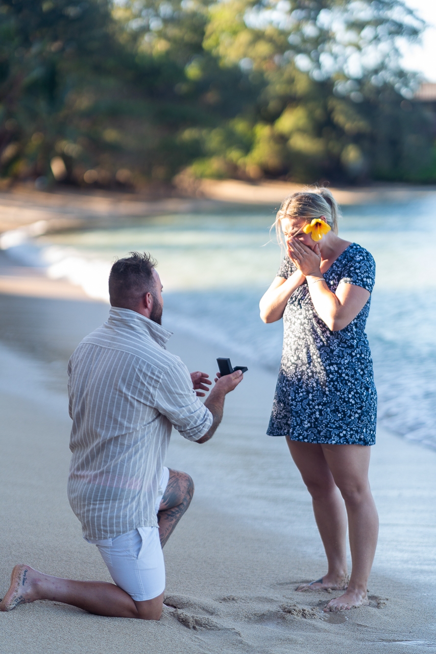 featured photo spot in Honolulu for proposals photo shoots gallery
