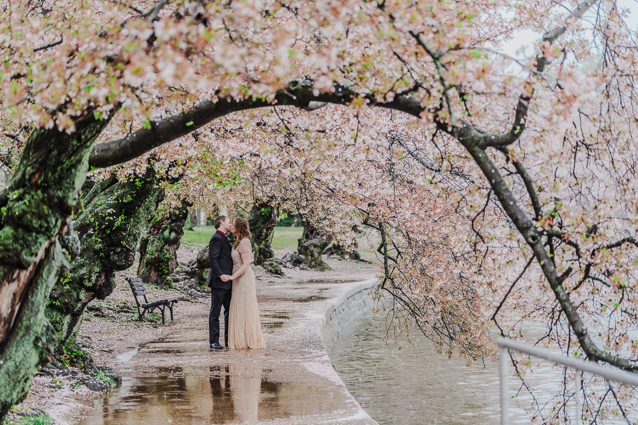 washington-dc-proposal-local-lens-tidal-basin