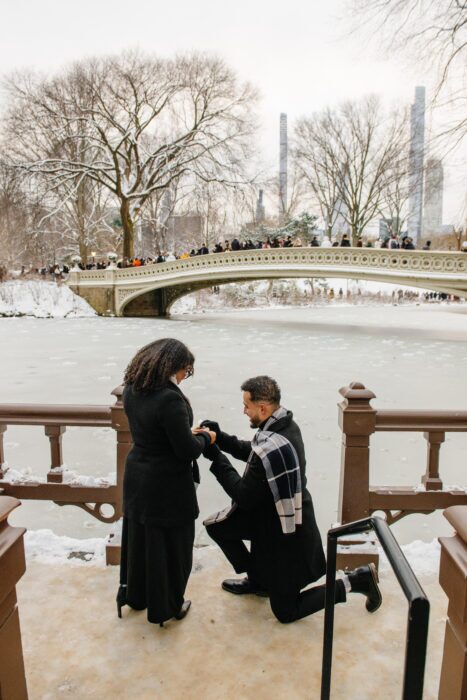 new-york-proposal-local-lens