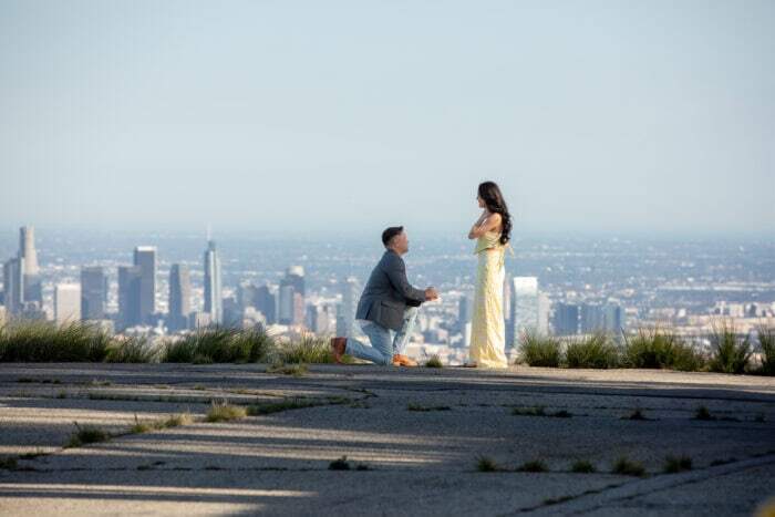 local-lens-hollywood-los-angeles-proposal