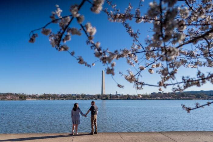 local-lens-washington-dc-proposal