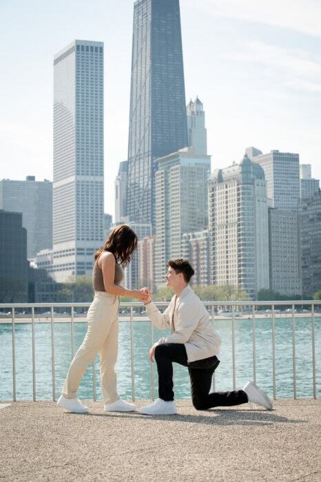 local-lens-navy-pier-chicago-proposal