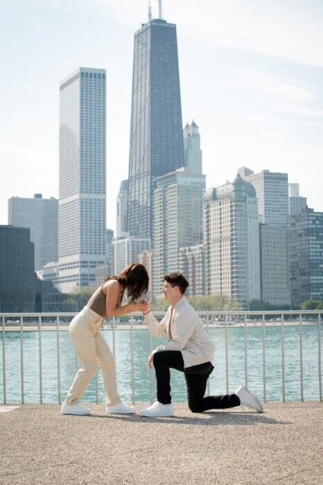 local-lens-navy-pier-chicago-proposal