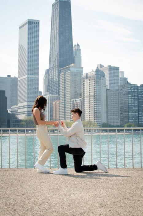 local-lens-navy-pier-chicago-proposal