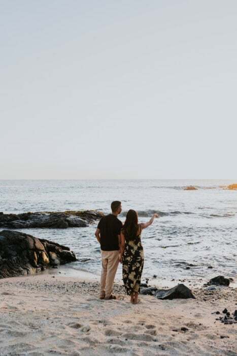 local-lens-big-island-hawaii-proposal