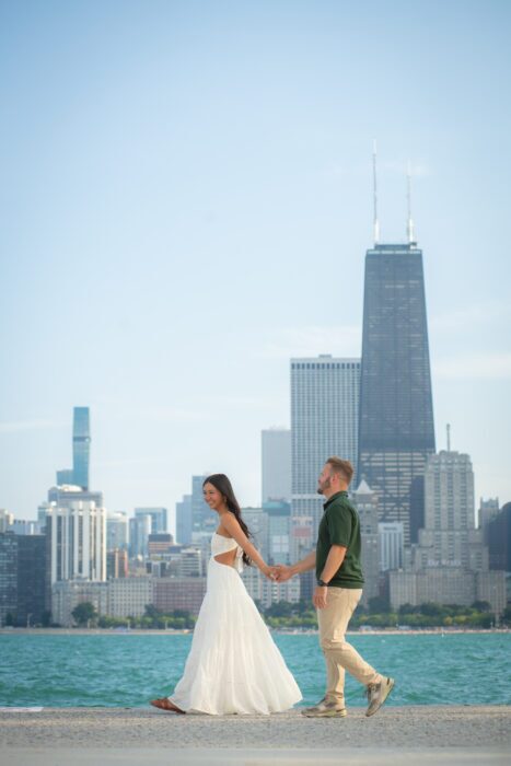 local-lens-navy-pier-chicago-proposal