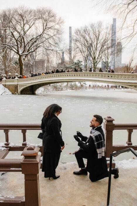 local-lens-new-york-proposal