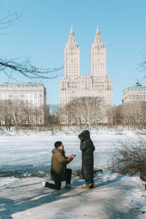 local-lens-new-york-central-park-proposal