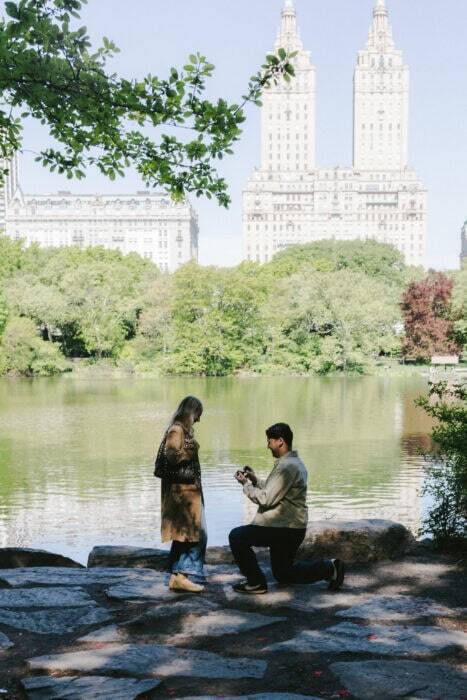 local-lens-new-york-central-park-proposal