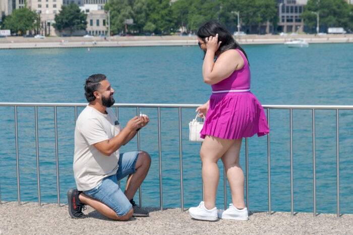 local-lens-navy-pier-chicago-proposal